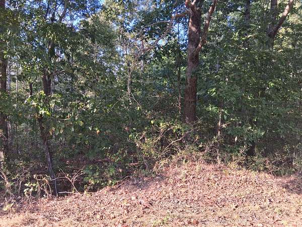 5 Acres of Residential Land for Sale in Waverly, Tennessee
