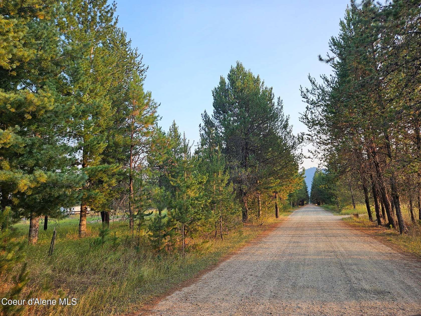 20 Acres of Recreational & Residential Land for Sale in Priest River, Idaho