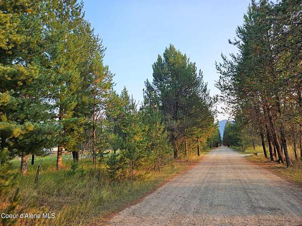 20 Acres of Recreational & Residential Land for Sale in Priest River, Idaho