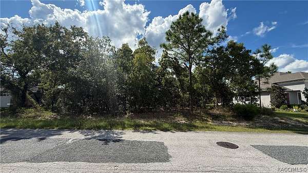 0.29 Acres of Residential Land for Sale in Homosassa, Florida