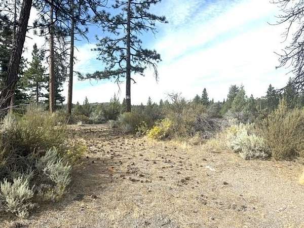 83 Acres of Recreational & Residential Land for Sale in Montague, California