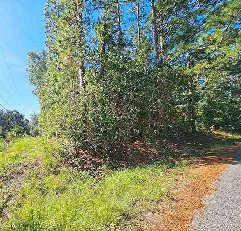 1 Acre of Residential Land for Sale in Albany, Georgia