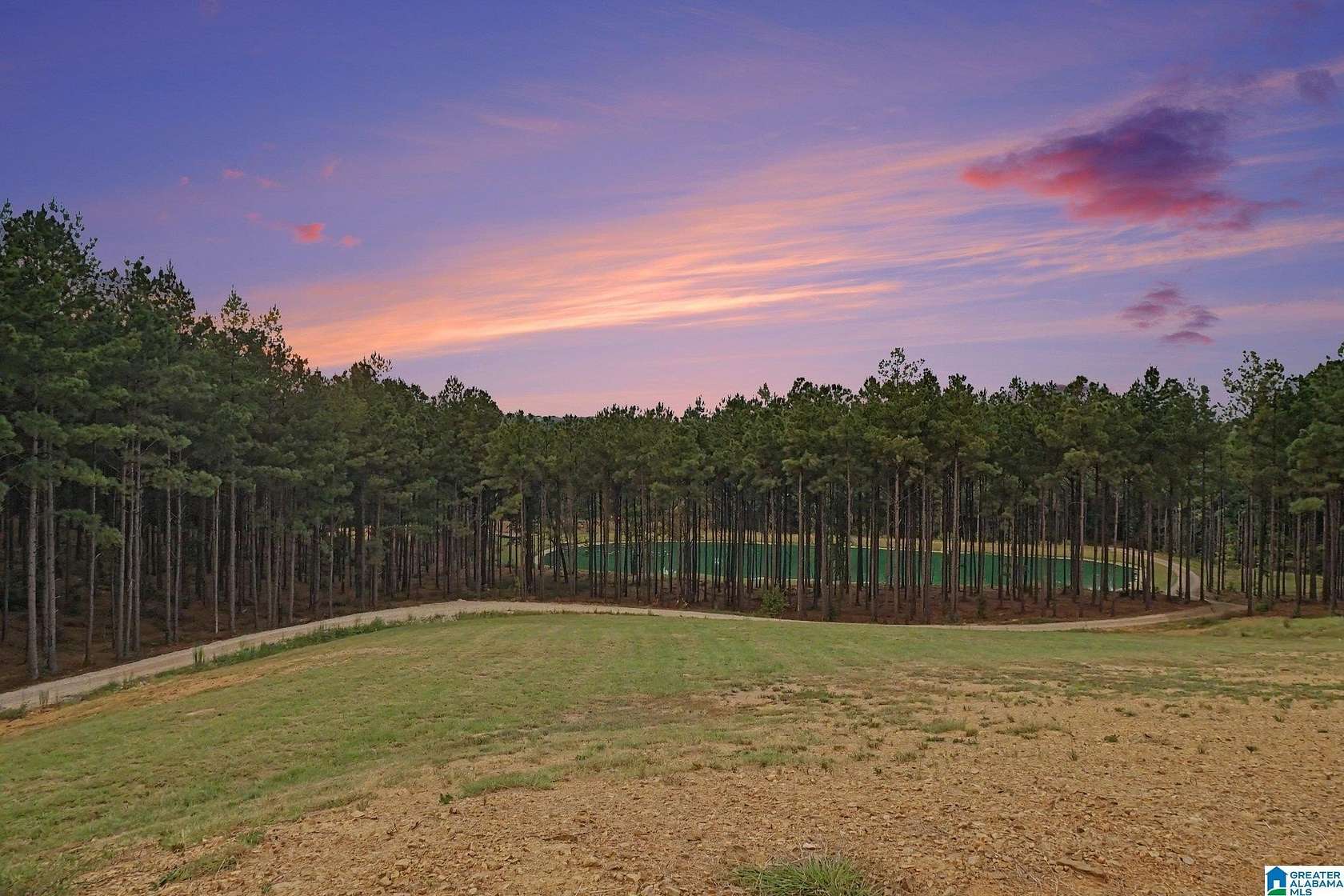 22.6 Acres of Agricultural & Residential Land for Sale in Chelsea, Alabama