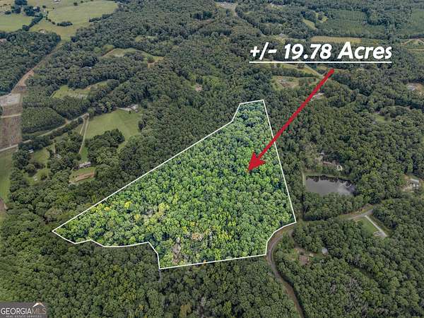 19.8 Acres of Recreational & Residential Land for Sale in Jackson, Georgia