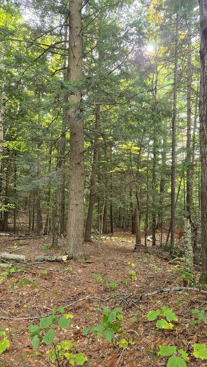 52.6 Acres of Recreational & Residential Land for Sale in Redford, New York