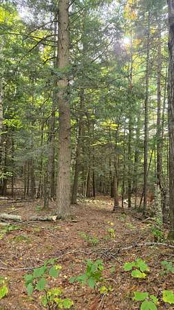 52.6 Acres of Recreational & Residential Land for Sale in Redford, New York