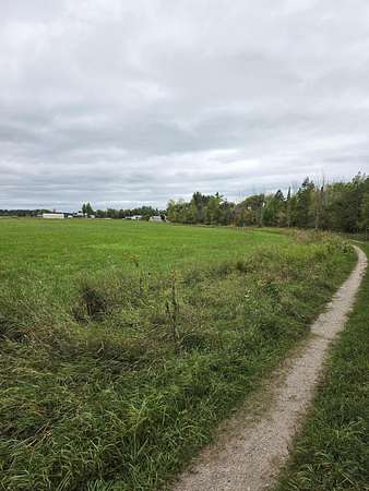 1 Acre of Land for Sale in Cheboygan, Michigan