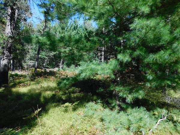 3 Acres of Land for Sale in Grayling, Michigan