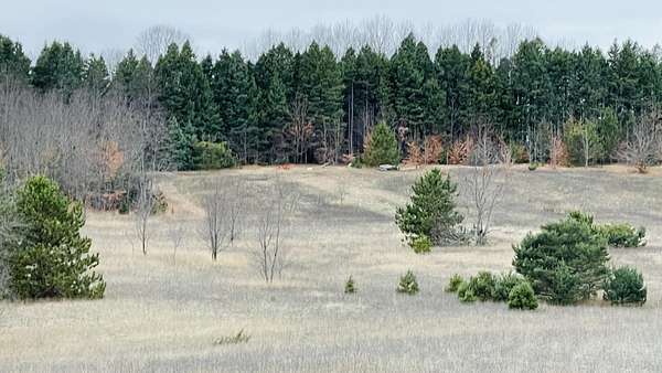 80 Acres of Recreational Land for Sale in Wolverine, Michigan