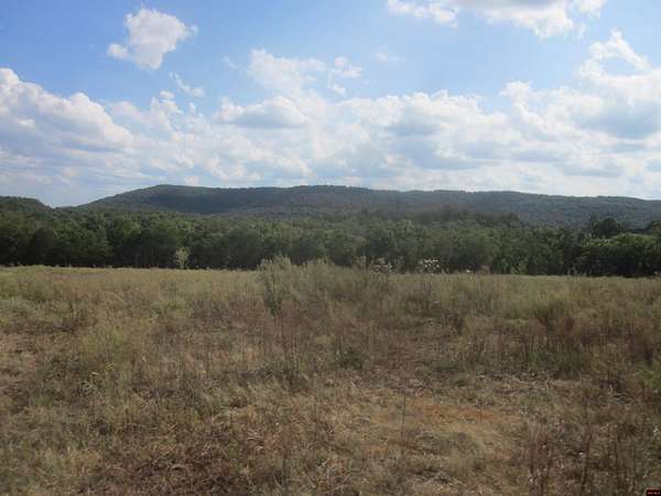 42 Acres of Land for Sale in Yellville, Arkansas