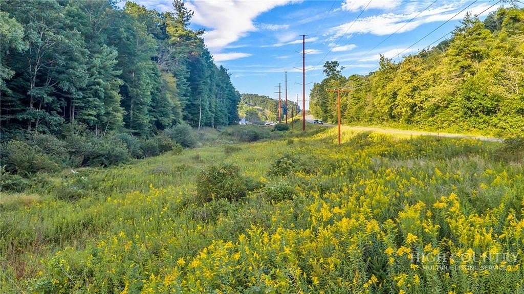 18.1 Acres of Land for Sale in Fleetwood, North Carolina