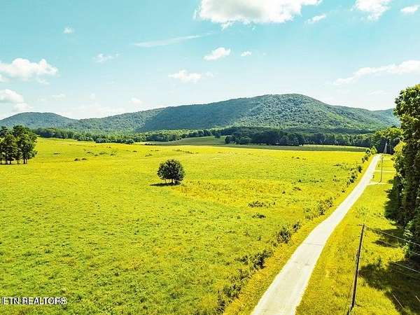 170 Acres of Agricultural Land for Sale in Sunbright, Tennessee
