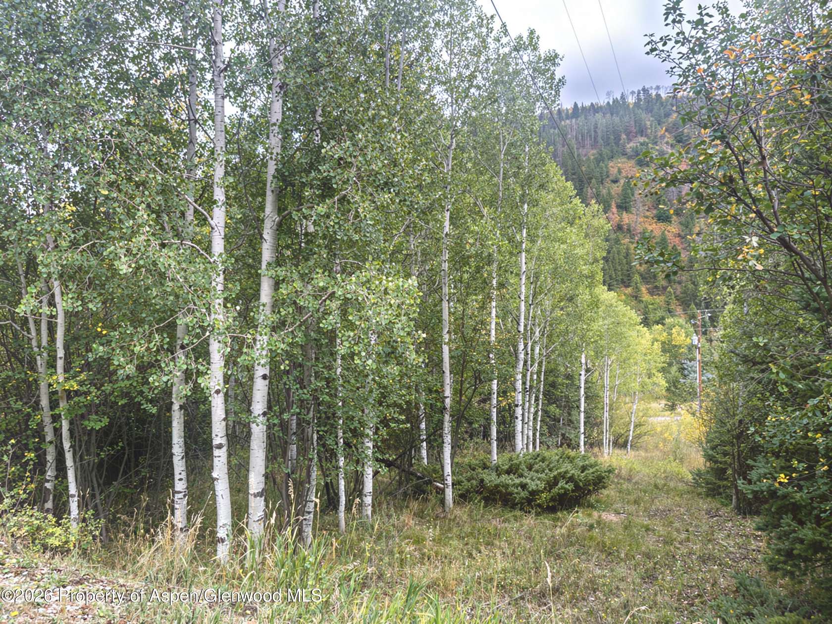 0.59 Acres of Residential Land for Sale in Redstone, Colorado