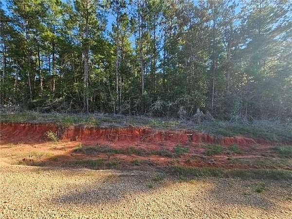 2.48 Acres of Residential Land for Sale in Amite, Louisiana