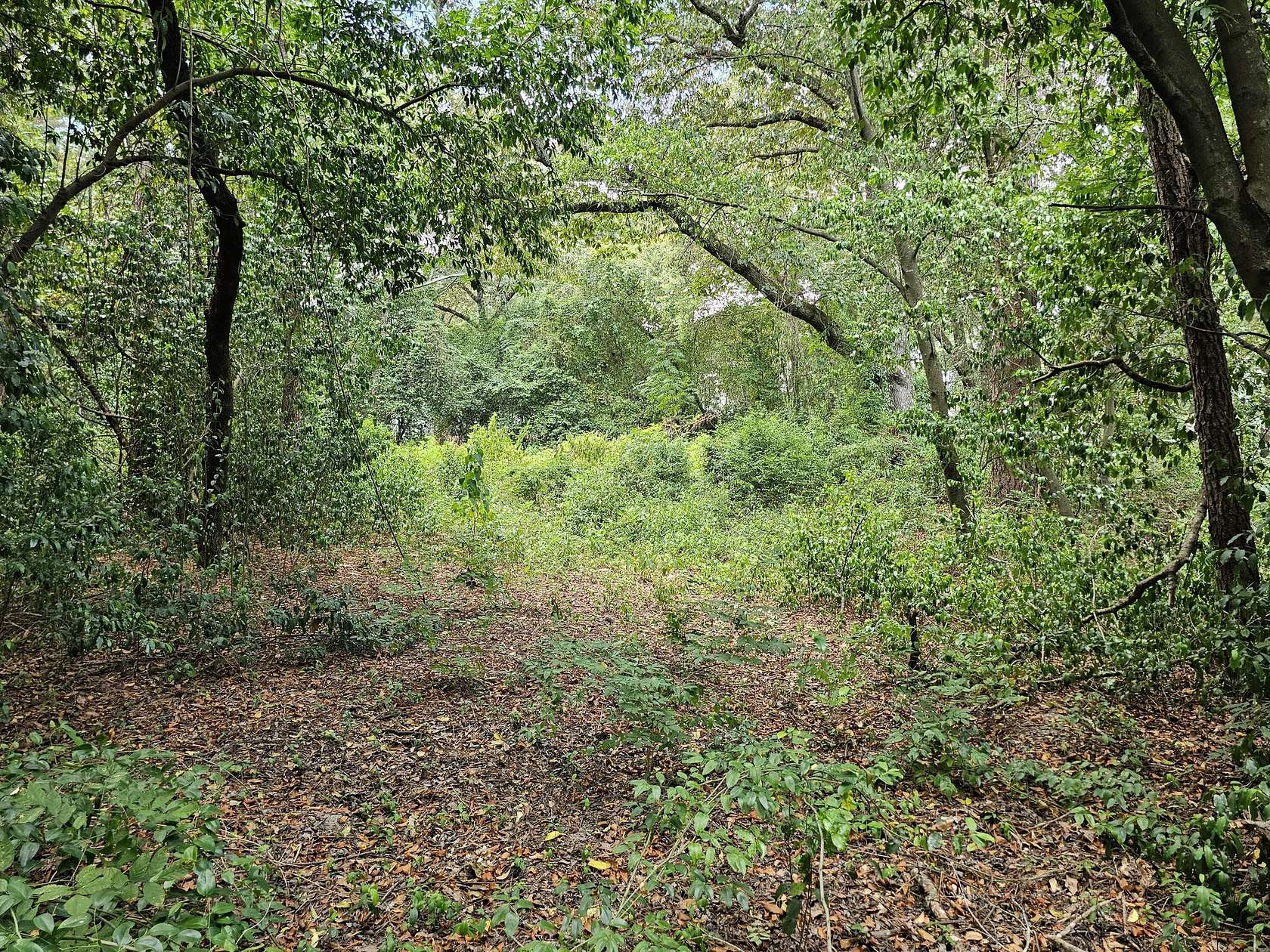 0.66 Acres of Residential Land for Sale in Sumter, South Carolina