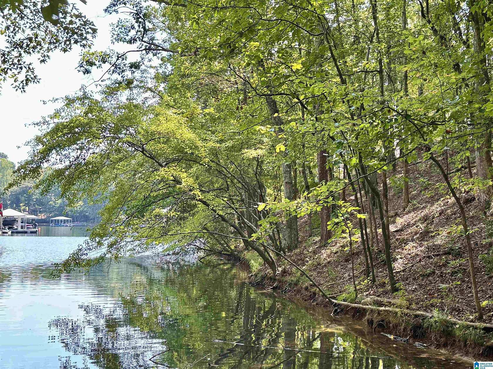 1.1 Acres of Residential Land for Sale in Wedowee, Alabama