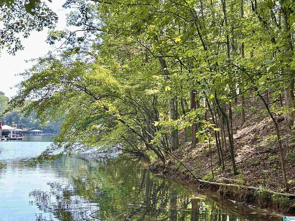 1.1 Acres of Residential Land for Sale in Wedowee, Alabama