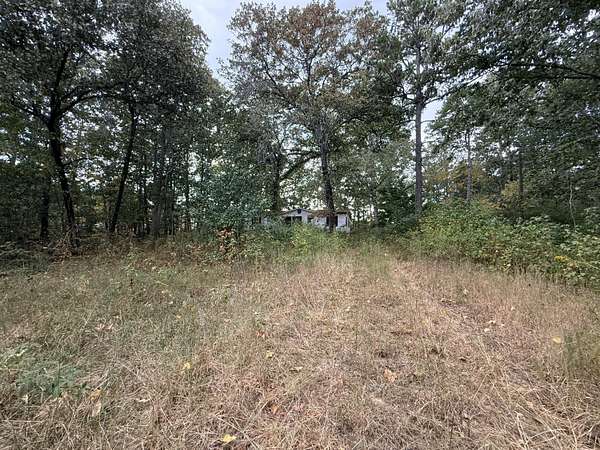 2 Acres of Residential Land for Sale in Trenton, Georgia