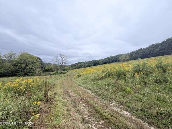 126 Acres of Land for Sale in Worthville, Kentucky