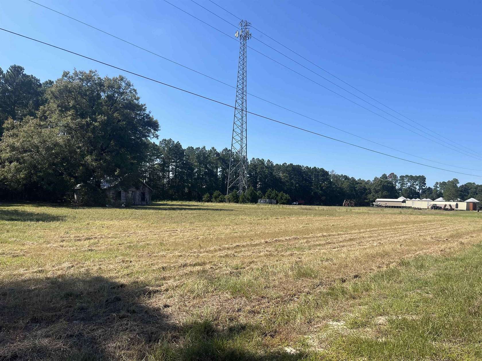 60.2 Acres of Land for Sale in Blenheim, South Carolina
