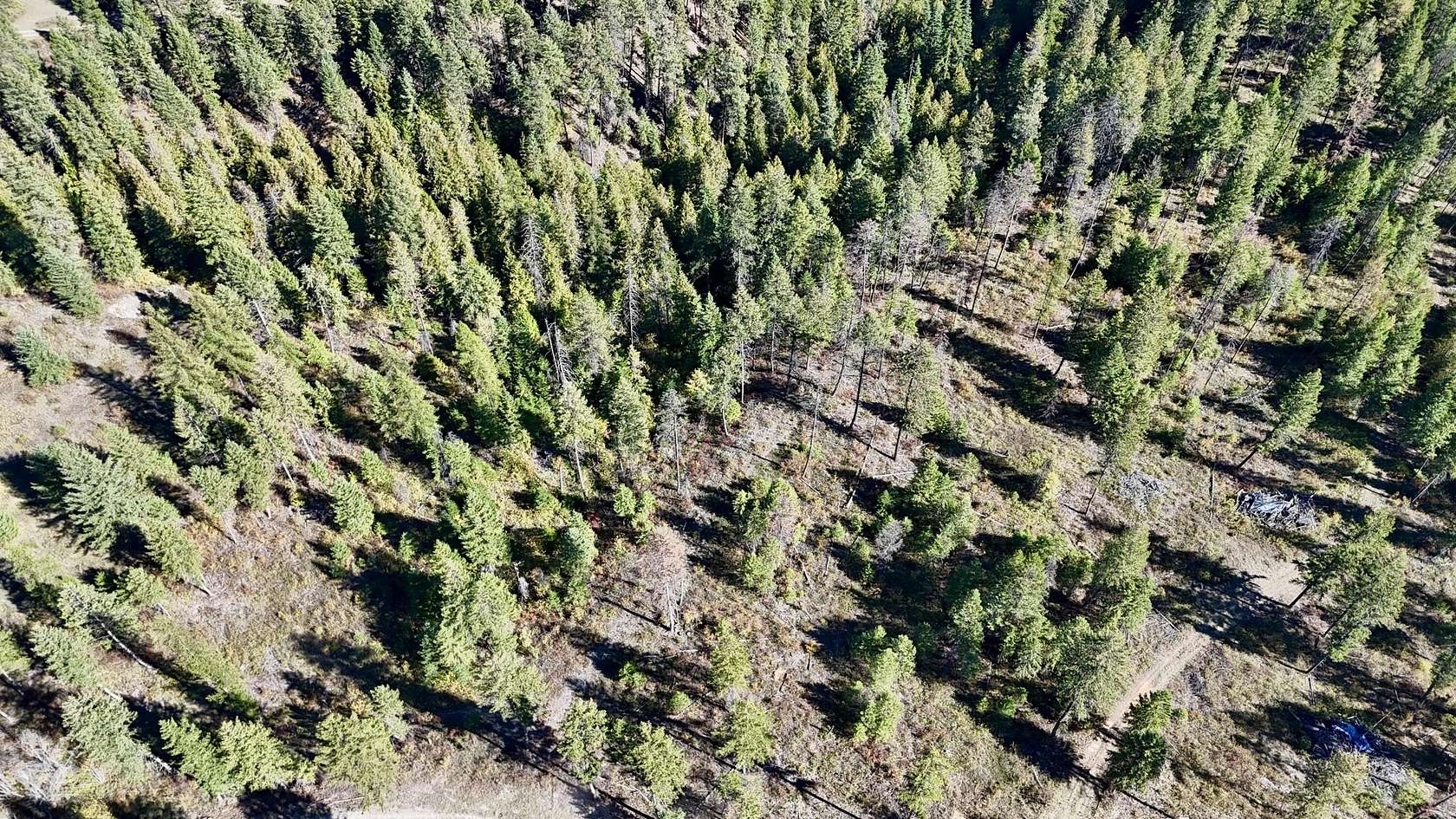 28.9 Acres of Land for Sale in Kettle Falls, Washington
