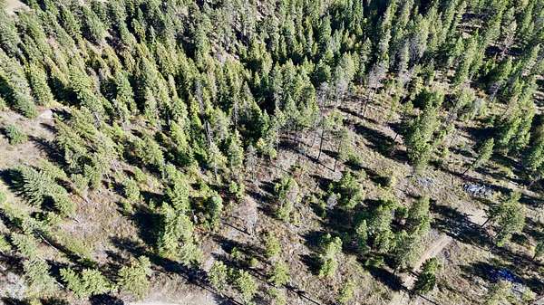28.9 Acres of Land for Sale in Kettle Falls, Washington