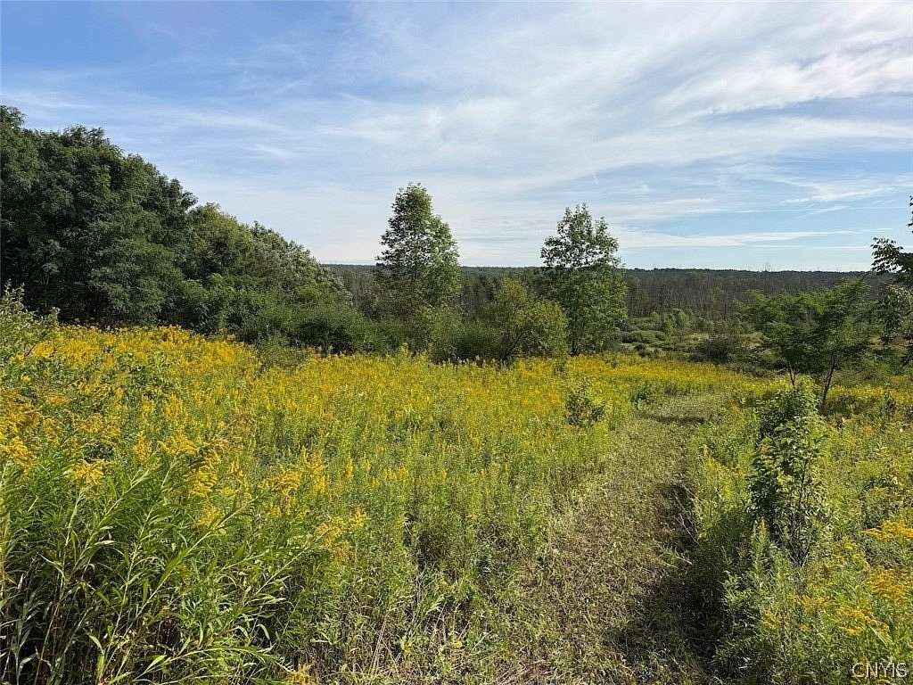 13.2 Acres of Recreational & Residential Land for Sale in South Dayton, New York