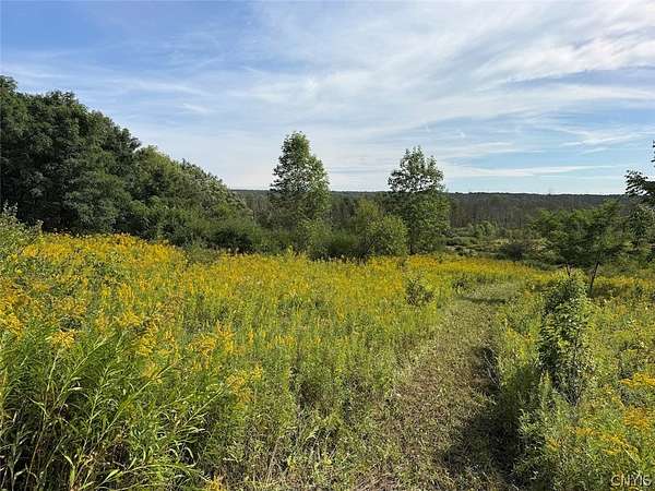 13.2 Acres of Recreational & Residential Land for Sale in South Dayton, New York