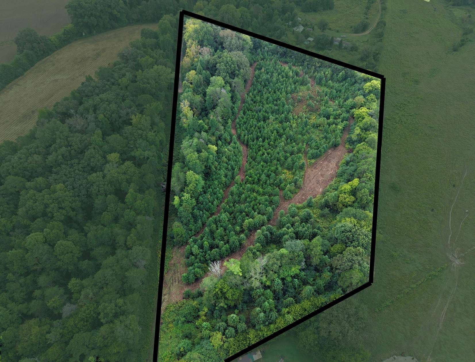 5.55 Acres of Residential Land for Sale in Athens, Tennessee