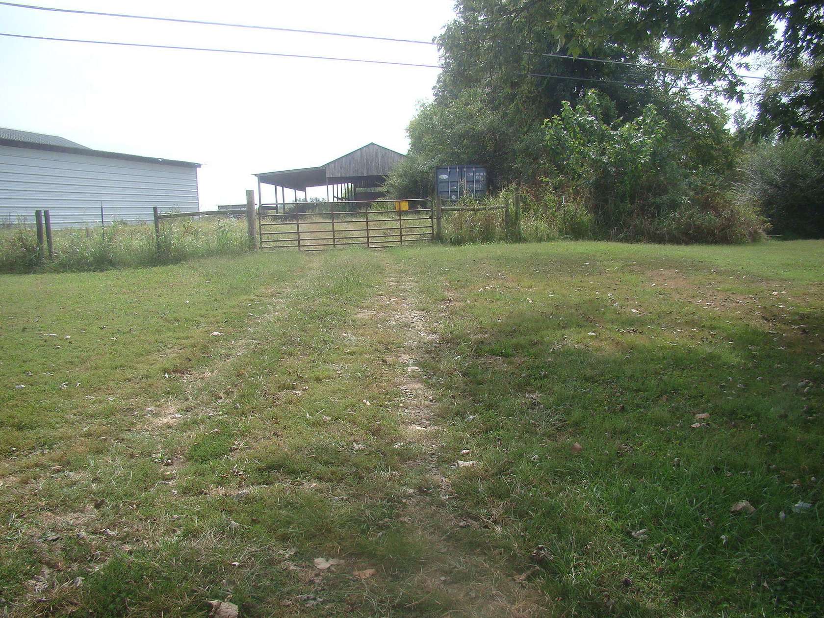 54.3 Acres of Land for Sale in Cadiz, Kentucky