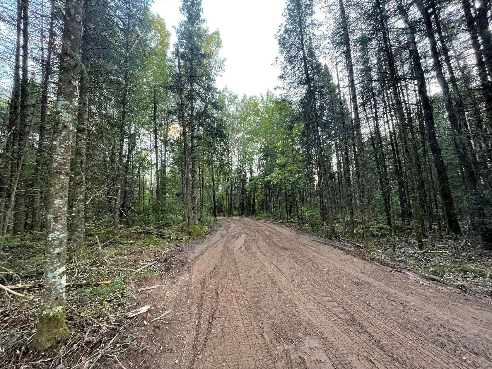 9 Acres of Agricultural Land for Sale in Winter, Wisconsin