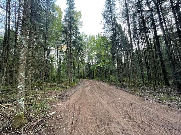 9 Acres of Agricultural Land for Sale in Winter, Wisconsin