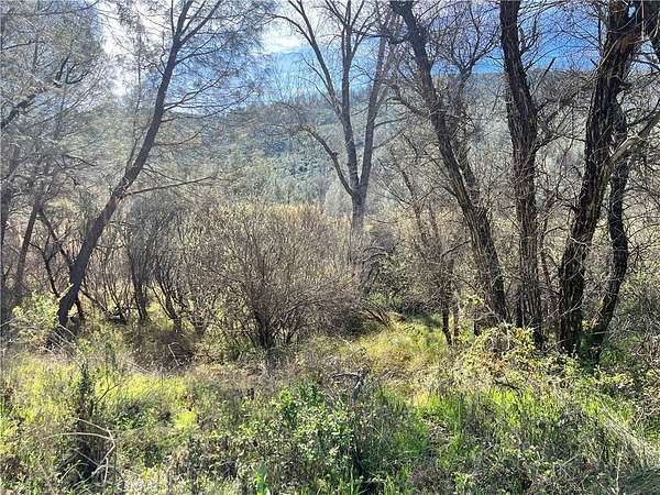 15.8 Acres of Recreational Land for Sale in Clearlake Oaks, California