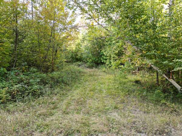 16.6 Acres of Recreational & Residential Land for Sale in Lee, Maine