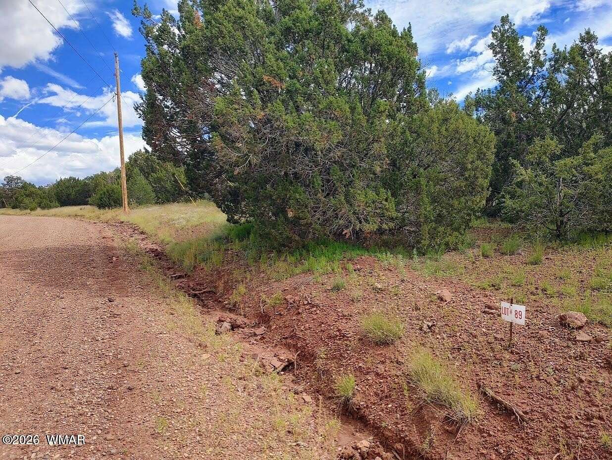 8.3 Acres of Residential Land for Sale in Vernon, Arizona