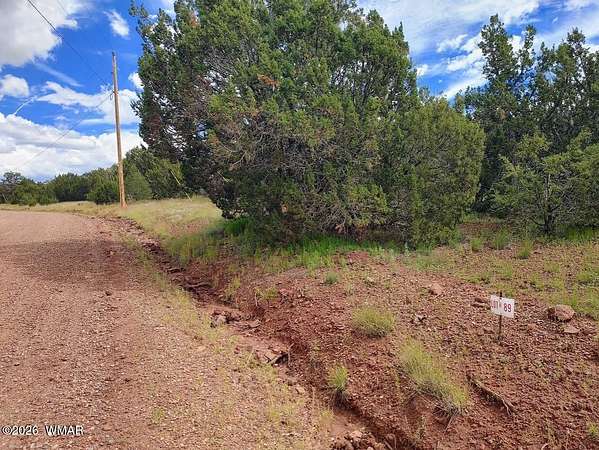 8.3 Acres of Residential Land for Sale in Vernon, Arizona