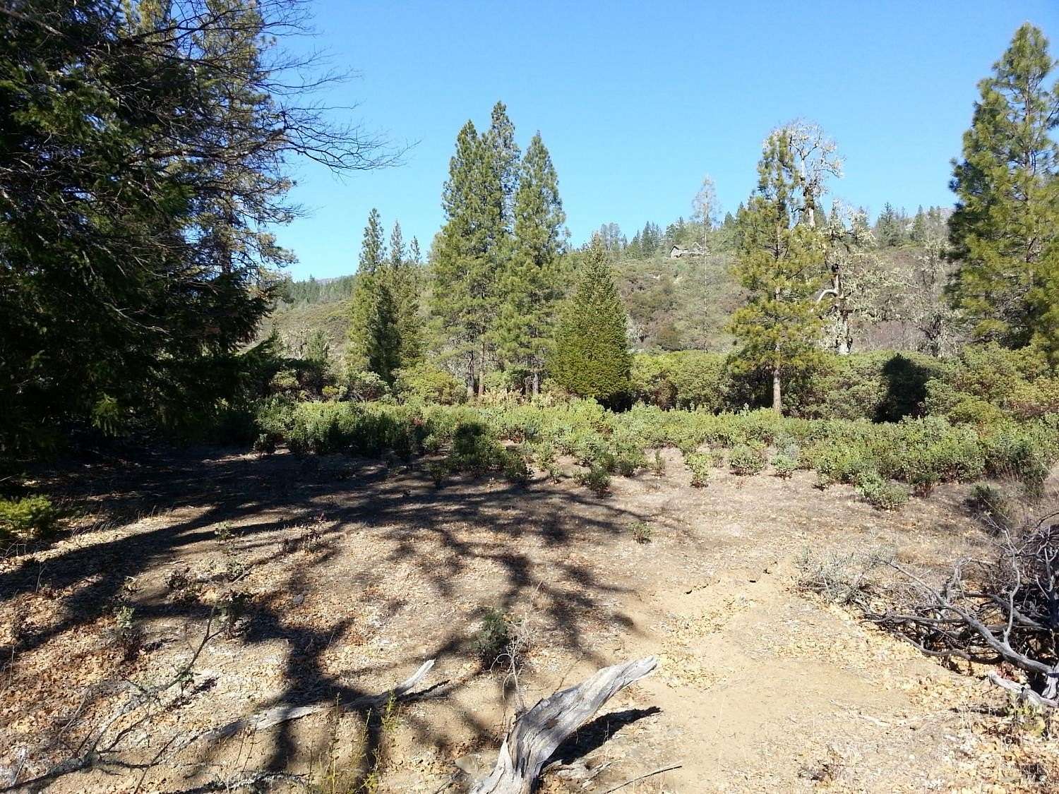 1 Acre of Residential Land for Sale in Potter Valley, California