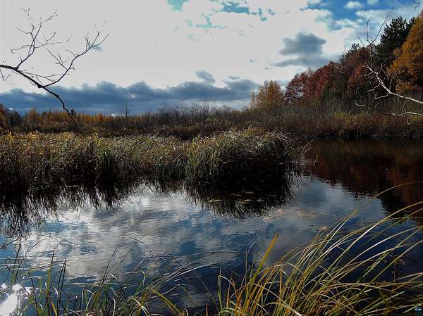 39.5 Acres of Land for Sale in Iron River, Wisconsin