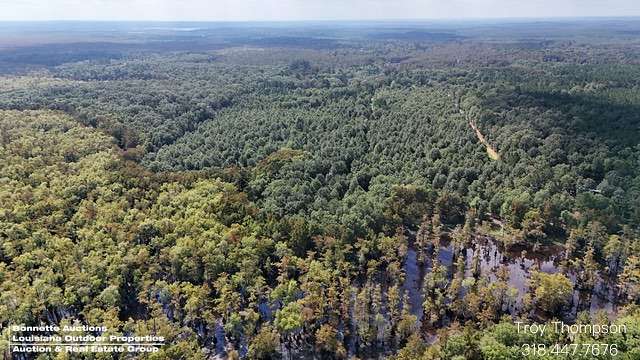 45 Acres of Recreational & Residential Land for Sale in Colfax, Louisiana