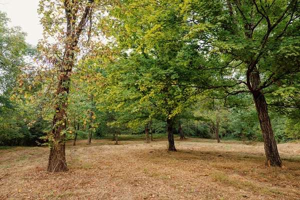 2 Acres of Residential Land for Sale in Franklin, Tennessee