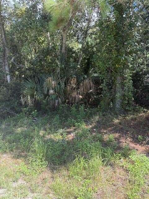1 Acre of Residential Land for Sale in Carrabelle, Florida
