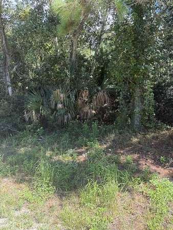 1 Acre of Residential Land for Sale in Carrabelle, Florida