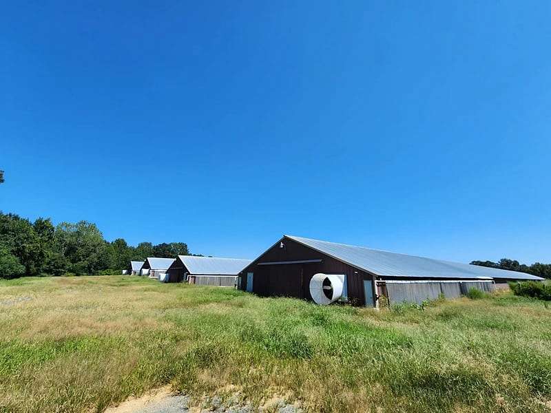 33 Acres of Agricultural Land for Sale in Polkton, North Carolina