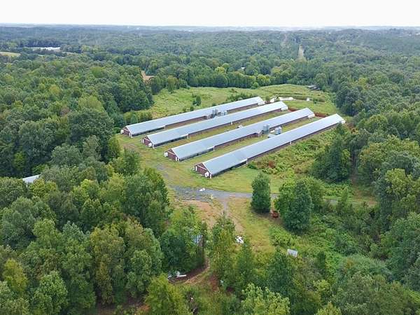 33 Acres of Agricultural Land for Sale in Polkton, North Carolina