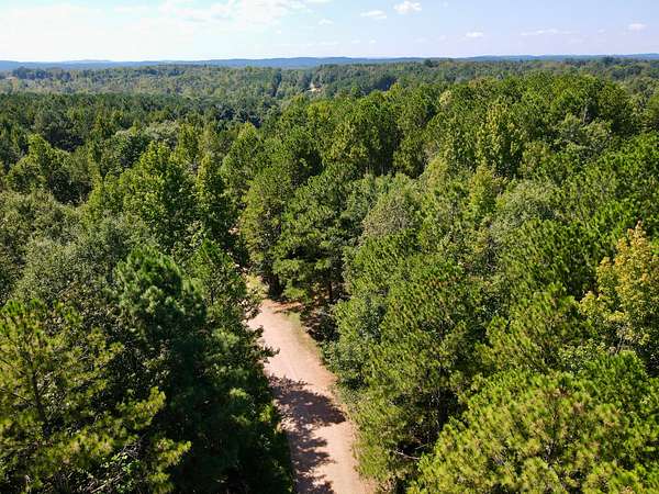 7.5 Acres of Residential Land for Sale in Ashland, Alabama