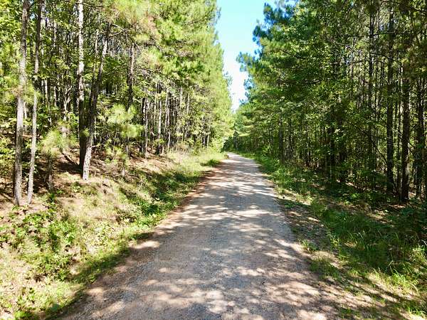 6.18 Acres of Residential Land for Sale in Ashland, Alabama