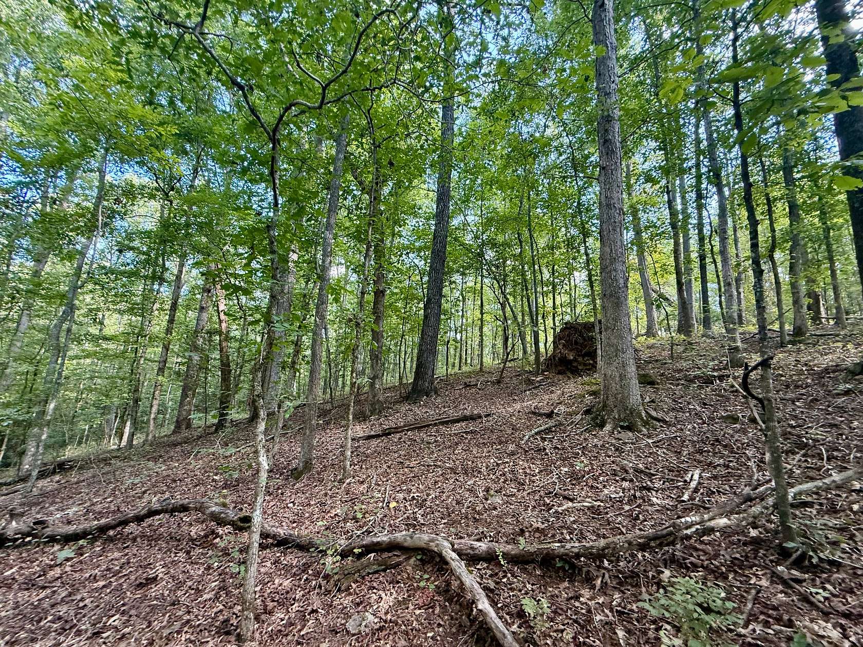 6.85 Acres of Residential Land for Sale in Ashland, Alabama