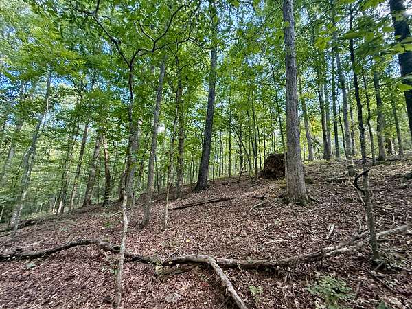 6.85 Acres of Residential Land for Sale in Ashland, Alabama
