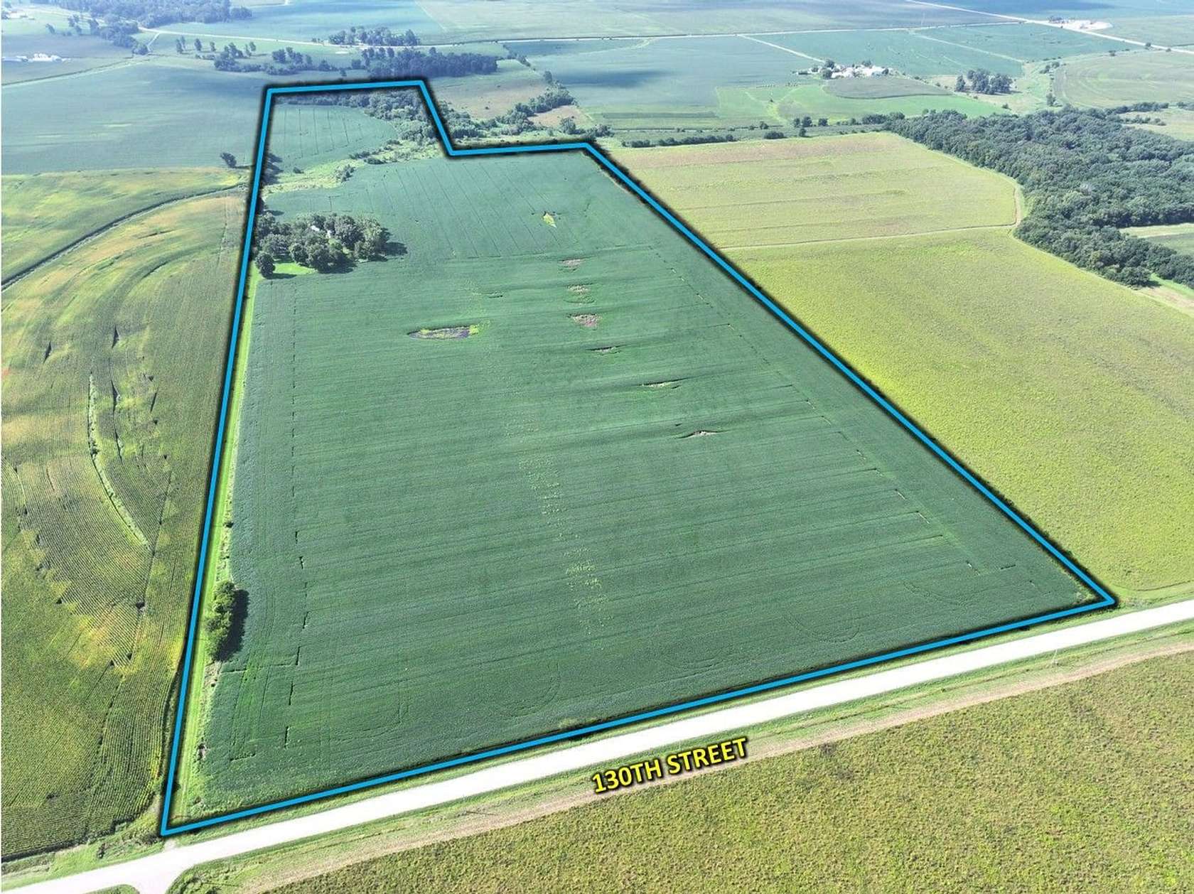 89.9 Acres of Land for Auction in Donnellson, Iowa