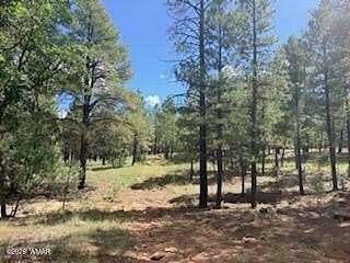 0.87 Acres of Residential Land for Sale in Happy Jack, Arizona